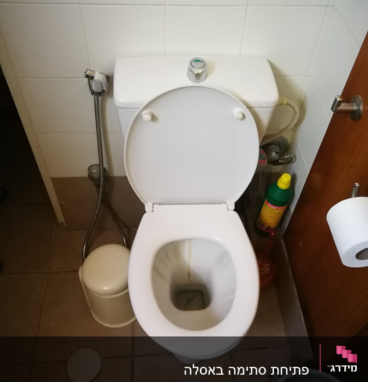 אסלה עם מיכל הדחה, מברשת ניקוי וחומר ניקוי